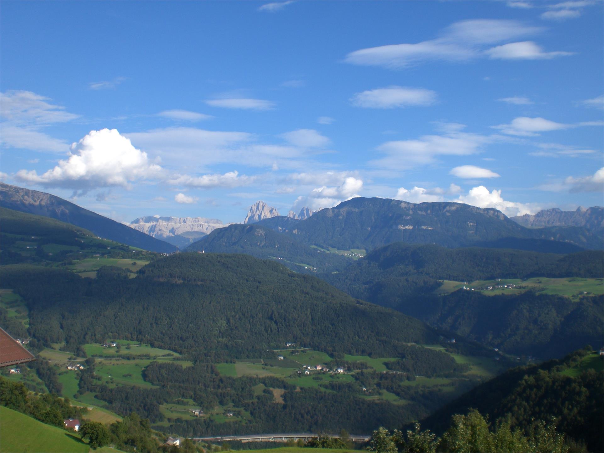 29D972ac494dc8257a430cf6d7d567b0